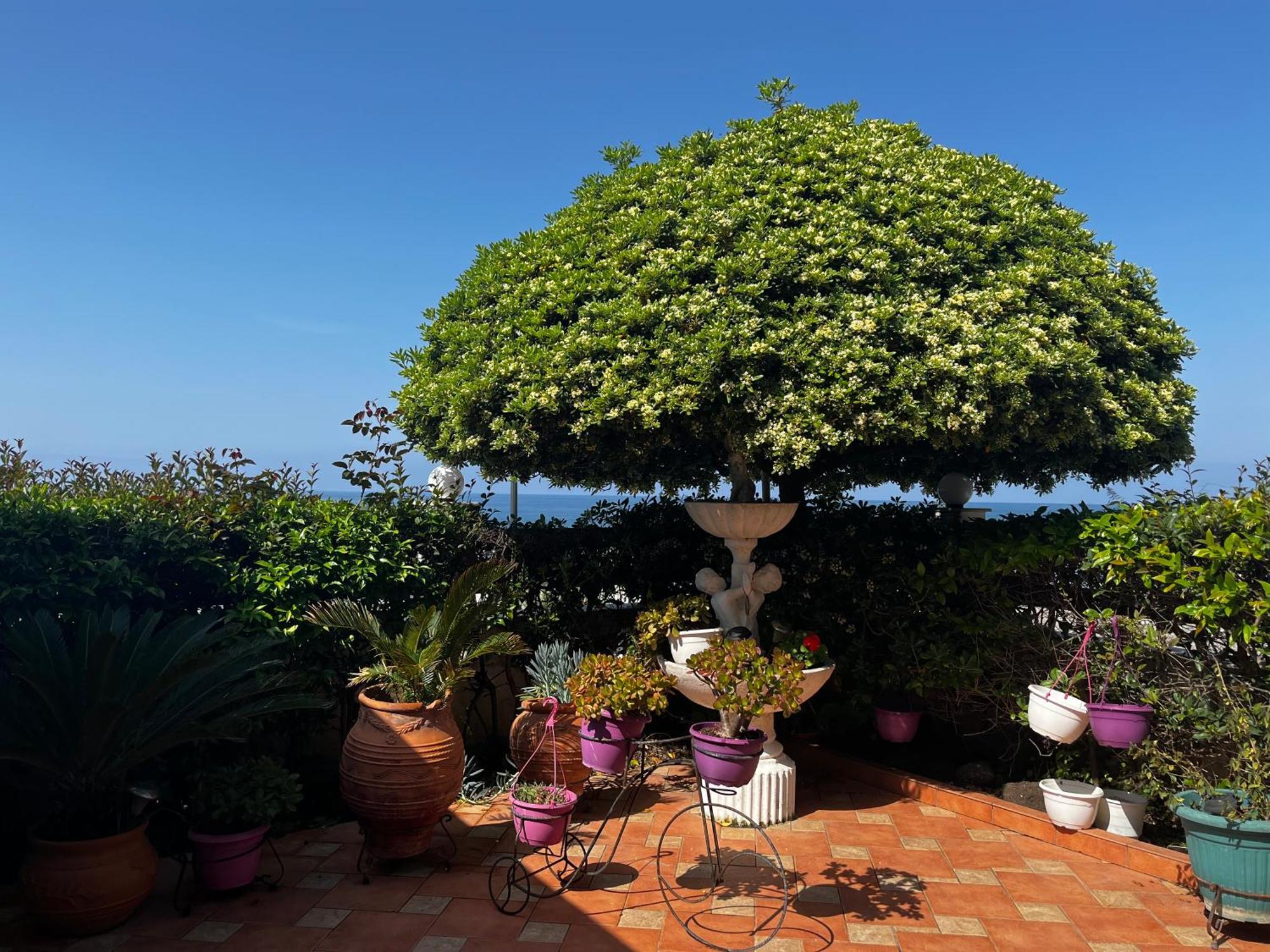 Family Sea & Garden View Apartment Preveza Exteriör bild